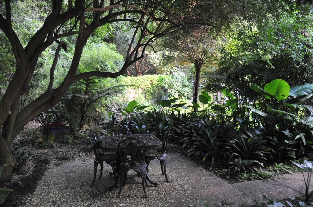 A Peaceful Retreat Bed & Breakfast Sandton Esterno foto