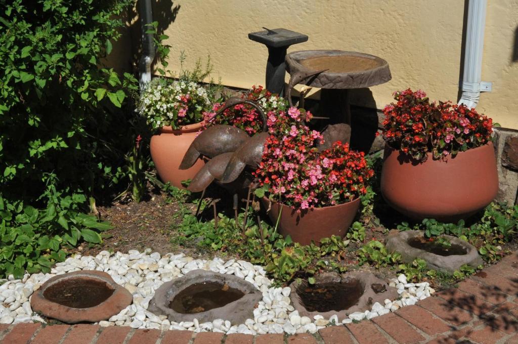 A Peaceful Retreat Bed & Breakfast Sandton Esterno foto